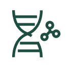 MicroRNA Agomir and Antagomir