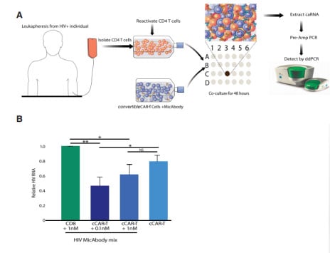 Ex Vivo Killing of Reactivated CD4 T Cells from HIV-1-Infected Individuals ART by cCAR-T and MicAbodies