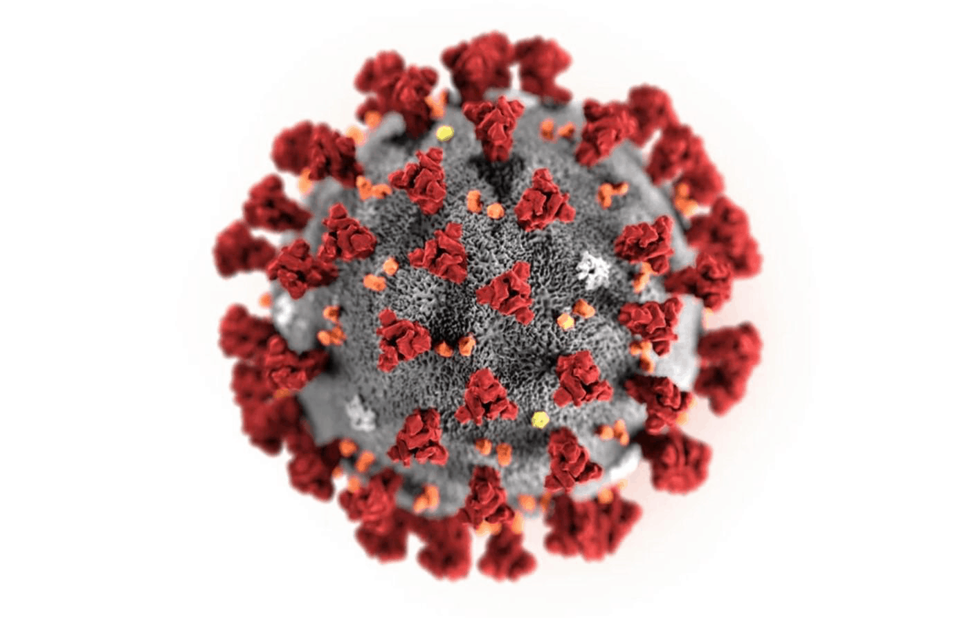 covid-19 virus