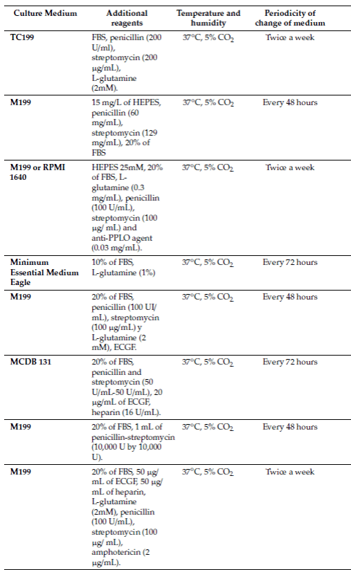 HUVECs culture conditions information table