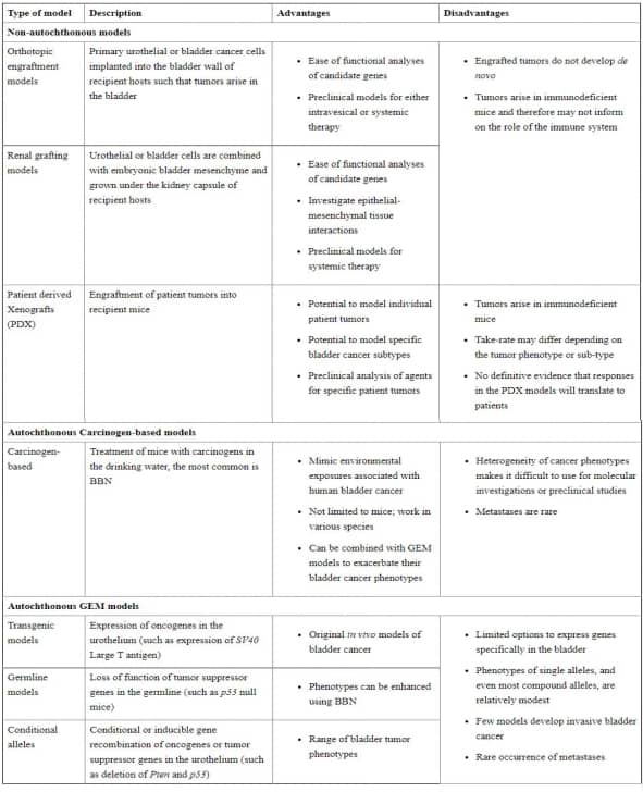 mouse model of bladder cancers