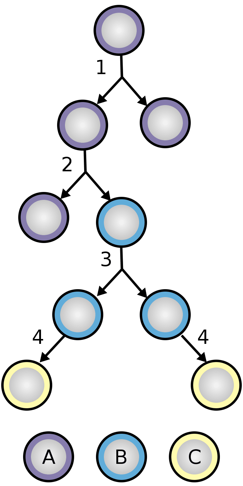 Charactistics and Biological Models of MSCs, iPSCs