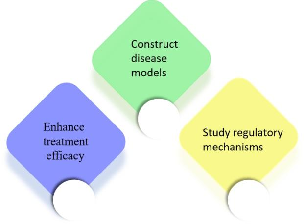 Gene Modifying of Stem Cells