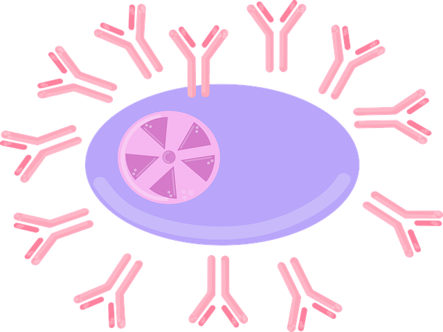 Immune Cell Therapy Solution