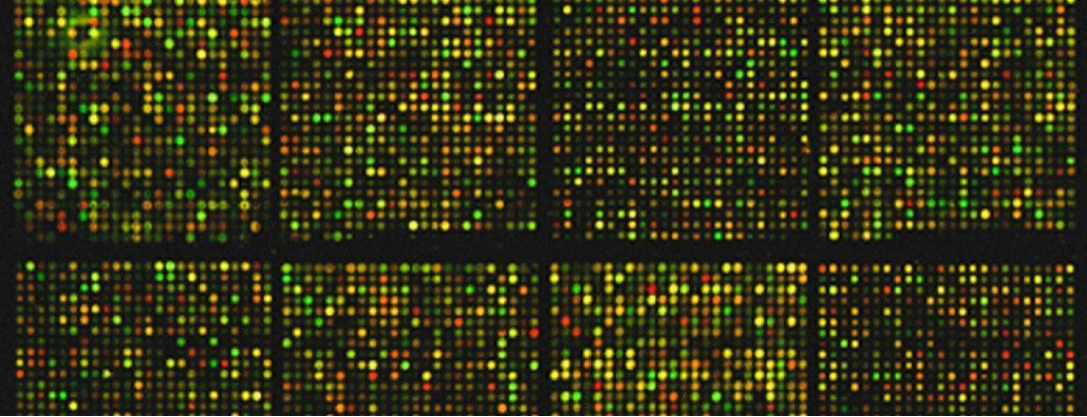 Characteristic Testing