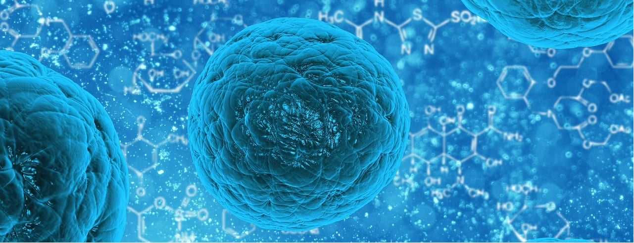 Stem Cell Solution