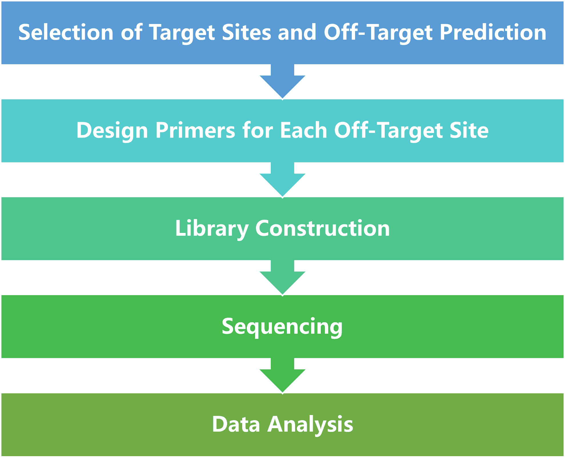 Off-Target Analysis Services