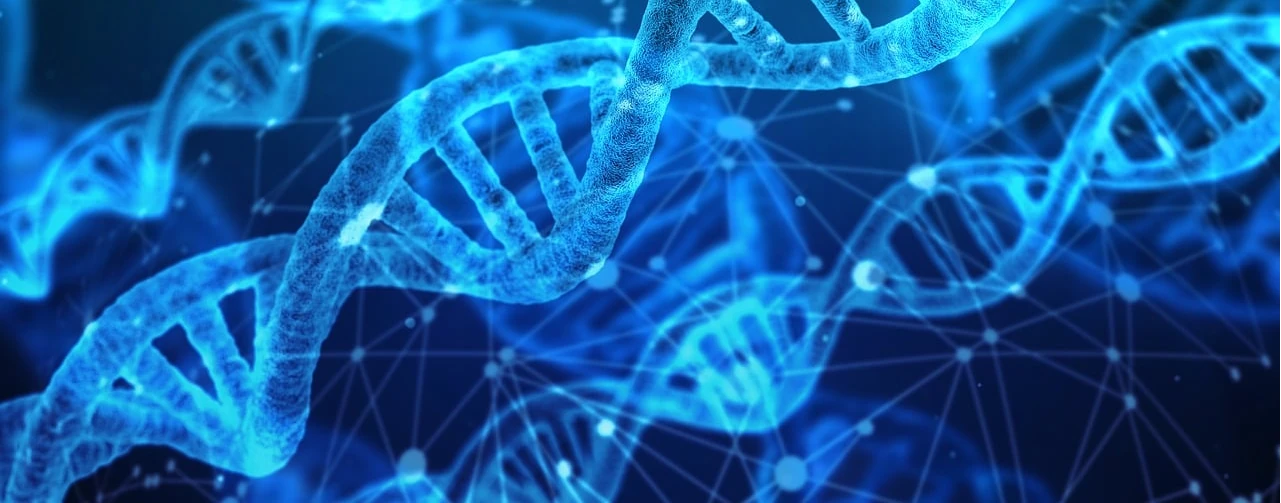 Gene Modifying of Stem Cells