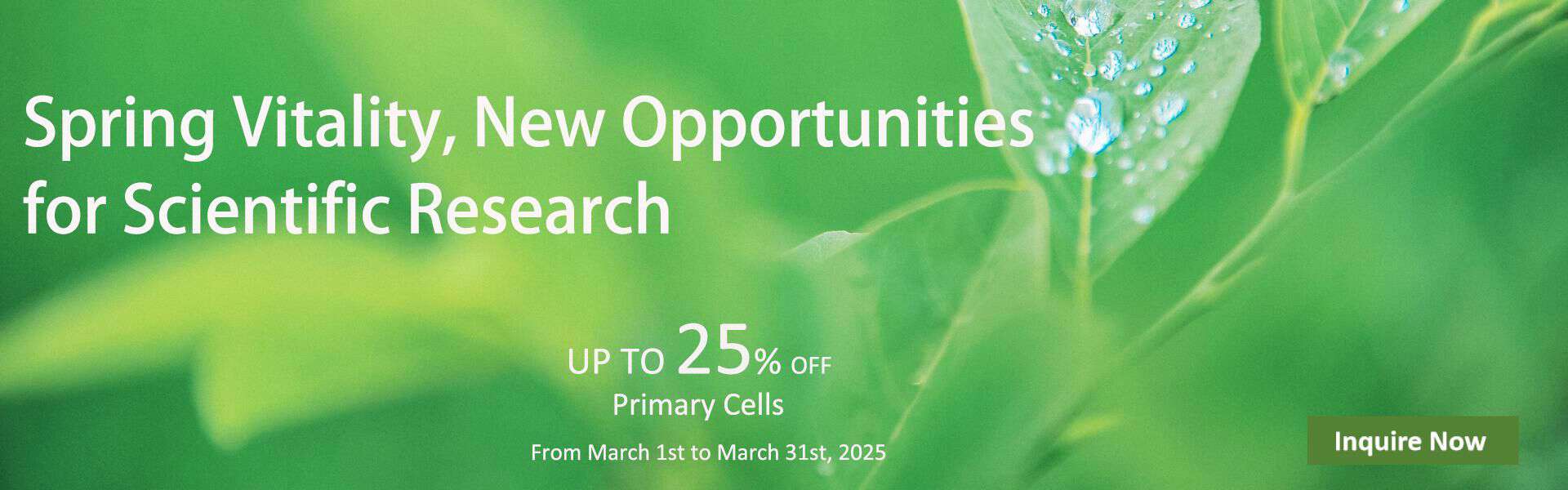 Spring Vitality, New Opportunities for Scientific Research